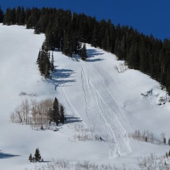 Thumbnail game - Avalanche